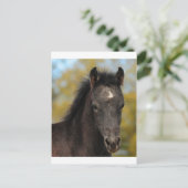 Carte Postale Oui? (Debout devant)