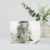 Carte Postale "Oui, J'Aimerais Un Peu De Nourritur (Debout devant)