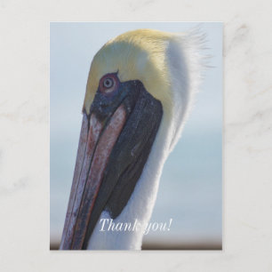 Carte Postale Oui, je suis magnifique