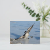 Carte Postale Oups ! (Debout devant)