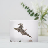 CARTE POSTALE OURAGAN D'EUROFIGHTER (Debout devant)