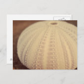 Carte Postale Ourchine (Devant / Derrière)