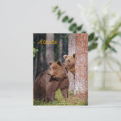 Carte Postale Ours (Debout devant)