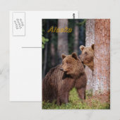 Carte Postale Ours (Devant / Derrière)