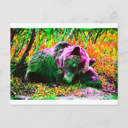 Carte Postale Ours (Devant)