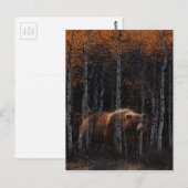 Carte Postale Ours 3 (Devant / Derrière)