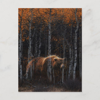 Carte Postale Ours 3