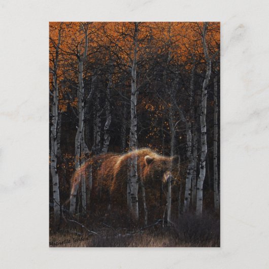 Carte Postale Ours 3 (Devant)