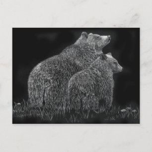 Carte Postale Ours Animal Scratchboard Black and White Art