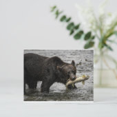 Carte Postale ours avec un saumon dans la bouche (Debout devant)