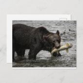 Carte Postale ours avec un saumon dans la bouche (Devant / Derrière)