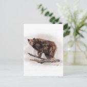 Carte Postale Ours Brown (Debout devant)