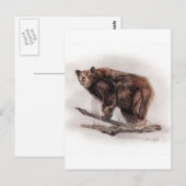 Carte Postale Ours Brown (Devant / Derrière)