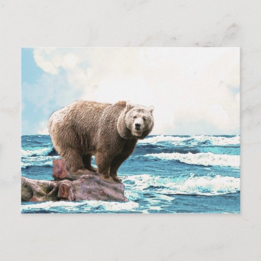 Carte Postale Ours Brown à la découverte de l'océan ! (Devant)