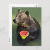 Carte Postale Ours Brown avec Melon d'eau (Devant / Derrière)