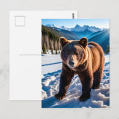 Carte Postale Ours Brown dans la neige (Devant / Derrière)