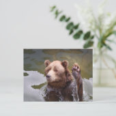 Carte postale Ours Brown de bain (Debout devant)
