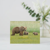 Carte Postale Ours Brown de l'Alaska avec des oursons dans une p (Debout devant)