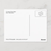 Carte Postale Ours Brown européen à Berne Bear Park (Dos)