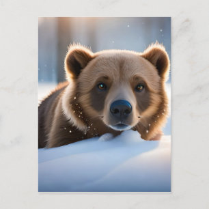 Carte Postale Ours Brown & Nature Wall Art