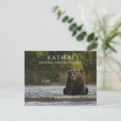 Carte Postale Ours brun assis dans la rivière Brooks, Katmai NPP (Debout devant)