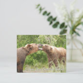 Carte Postale Ours brun Katmai Alaska (Debout devant)