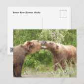 Carte Postale Ours brun Katmai Alaska (Devant / Derrière)