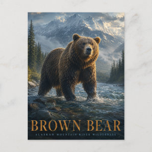 Carte Postale Ours Brun Rivière Alaska ANIMALS