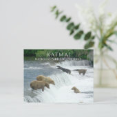 Carte Postale Ours Bruns Pêchant à Brooks Falls Parc National Ka (Debout devant)