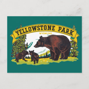 Carte Postale Ours bruns vintage dans le parc national de Yellow