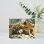 Carte Postale Ours couché (Debout devant)