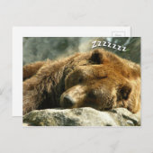 Carte Postale Ours couché (Devant / Derrière)