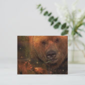 Carte Postale Ours d'Alaska avec petits (Debout devant)