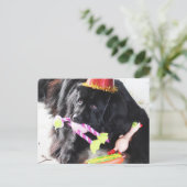 Carte Postale Ours d'anniversaire (Debout devant)