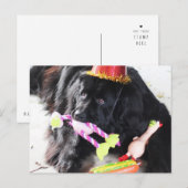 Carte Postale Ours d'anniversaire (Devant / Derrière)