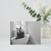 Carte Postale Ours dans le bain Mousse pour le bain (Debout devant)