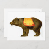 Carte Postale Ours de cirque vintage (Devant / Derrière)