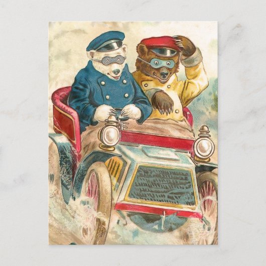 Carte Postale Ours de course (Devant)