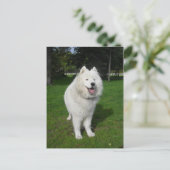 Carte Postale Ours de glace… (Debout devant)