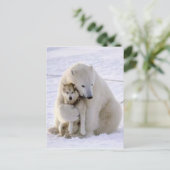 Carte Postale Ours de glace et chien (Debout devant)
