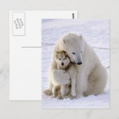 Carte Postale Ours de glace et chien (Devant / Derrière)