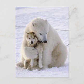 Carte Postale Ours de glace et chien