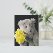 Carte Postale ours de jonquille (Debout devant)