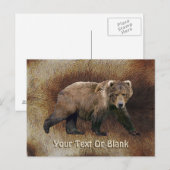Carte Postale Ours De Kodiak Sur Fourrure De Caribou (Reindeer) (Devant / Derrière)