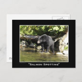 Carte Postale Ours de la faune Amoureux des animaux Design (Devant / Derrière)