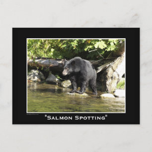 Carte Postale Ours de la faune Amoureux des animaux Design