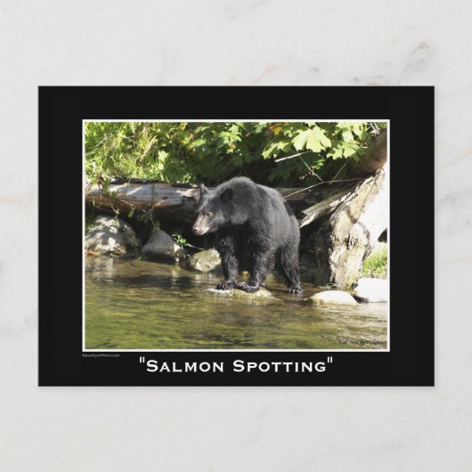 Carte Postale Ours de la faune Amoureux des animaux Design (Devant)