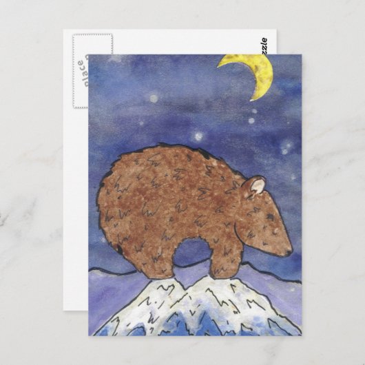 Carte Postale Ours de minuit (Devant / Derrière)