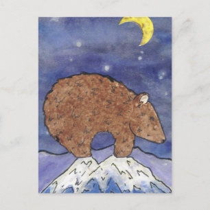 Carte Postale Ours de minuit