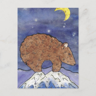 Carte Postale Ours de minuit